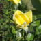 DSC09105