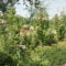 DSC09119