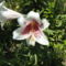 DSC09120