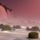 Rozsaszin_egbolt_alatt_1484538_5627_t