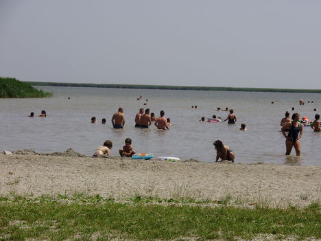 Fertő tó