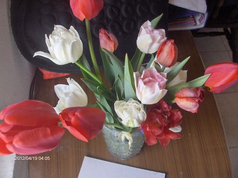 2012  04 20  virágok  