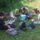 Dscf8074_1488266_8316_t