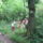 Dscf8098_1488262_4577_t
