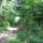 Dscf8100_1488289_4394_t