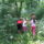 Dscf8102_1488287_5900_t