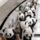 Heighho_heighho_heighho_1488626_6990_t