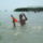 Varak_27-003_1488061_2088_t