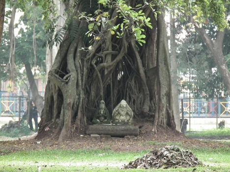 ősi maradványok a fa árnyékában Nepál