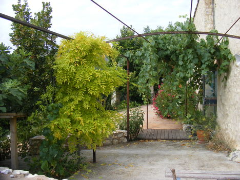 Provence, Mas du Figuier 7