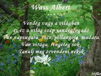 Wass Albert - Vendég vagy ..