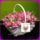 Szep_1491494_6659_t