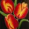 tulipánok ujrafestve