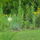 Kertunkbol_3-006_1494841_6323_t