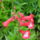 Kertunkbol_5-005_1494843_5476_t