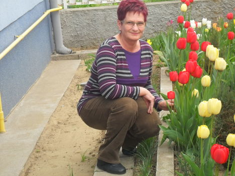 SAM_1685 én és a tulipánok