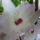 Viragzas__2_1494905_5333_t