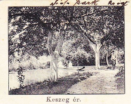A Saághy kastély parkja 1902-ben