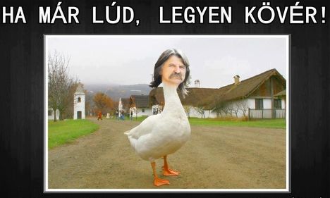 Lúd !