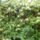 Kepek_015kicsi_1499662_8688_t