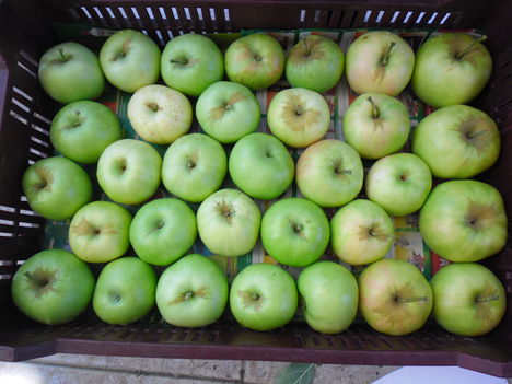 Kertünkből 201