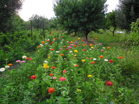 Kertünkből 2012