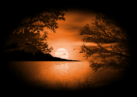 naplemente vízpart_074_gif