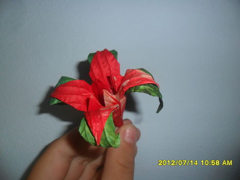 Piros Virág