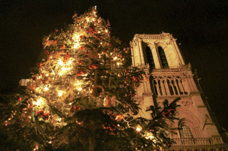 A Notre Dame karácsonyfája