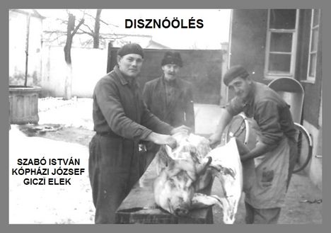 DISZNÓÖLÉS