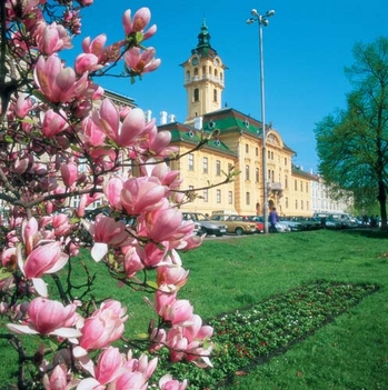 egy tavaszi kép Szegeden