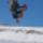 Snowboard16_104004_94640_t