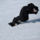 Snowboard20_104008_29573_t