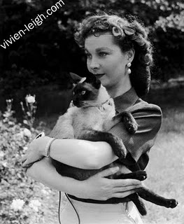 vivien leigh cicmoval