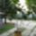 Fikusz_2_1511473_5827_t