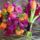 Horvathneszabo_erzsebrt_3_1511651_2528_t