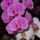 Dscn0020_1512688_5808_t