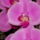 Dscn0021_1512697_2633_t