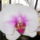 Dscn0024_1512689_5350_t