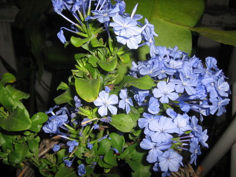 2012.aug.20. 004