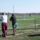 Meccs20120819barbacsmosonszentmiklos3_14_1513977_1568_t