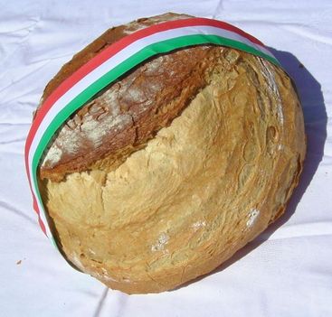 Új kenyér 2 