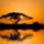 Afrika__es_csodai_1514435_1181_t
