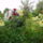 Augusztusi_viragok_19_1515931_9876_t