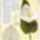 Kala_minta_1515350_8964_t