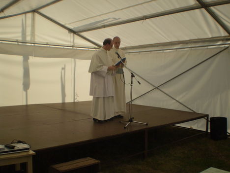 P9254774
