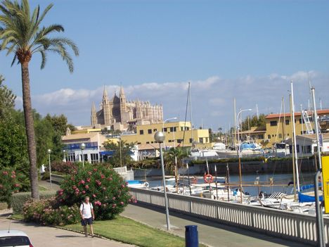 Palma