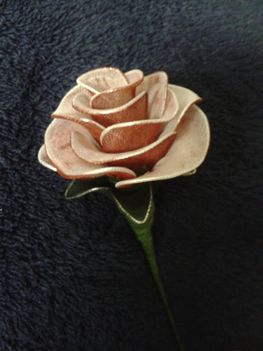 Piros-fehér hibrid rózsa