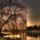 Erdo_szepsege_1518498_5052_t