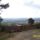 Leith_hill_1518320_6588_t